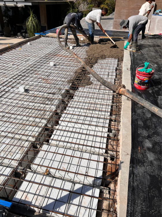 IMG-20240822-WA0032 1