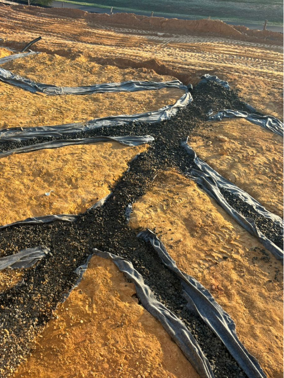 Imagem do WhatsApp de 2024-09-13 à(s) 09.45.26_c3a2ea8b 1